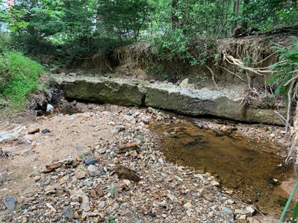 Bank erosion, an exposed sanitary sewer line, and excess sediment deposited in the stream channel in the Long Branch Central Watershed.