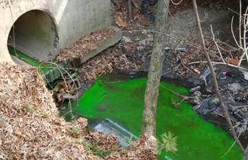 County staff used green dye tracer to find the source of pollution entering the county storm sewer network.