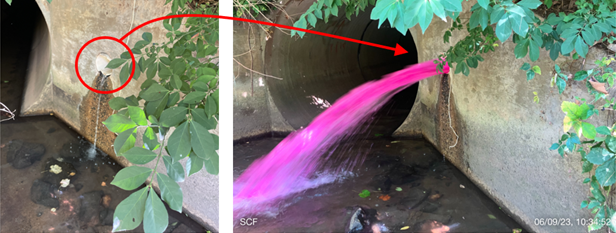 County staff used a pink dye tracer to find an improper connection to a county stream.