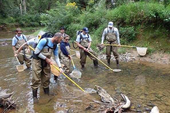 County staff sampling  the fish community.