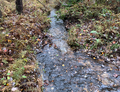 high-quality habitat 