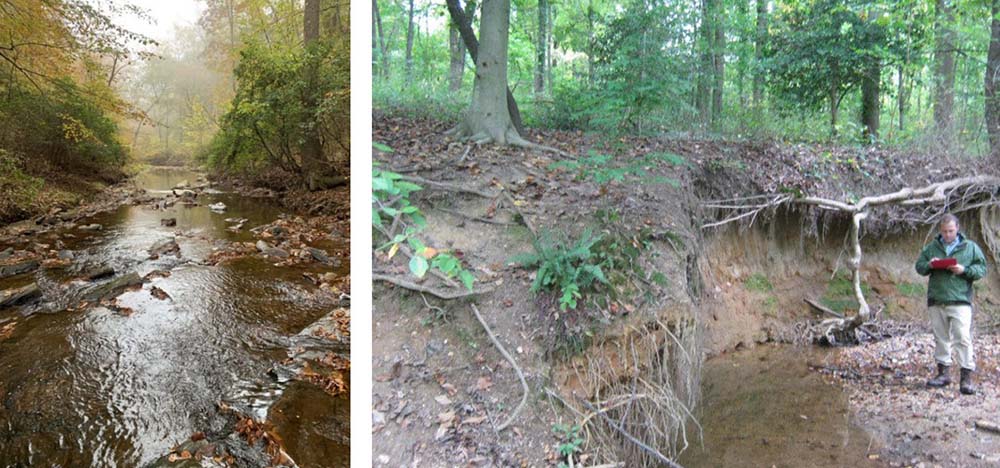 good and poor quality streams