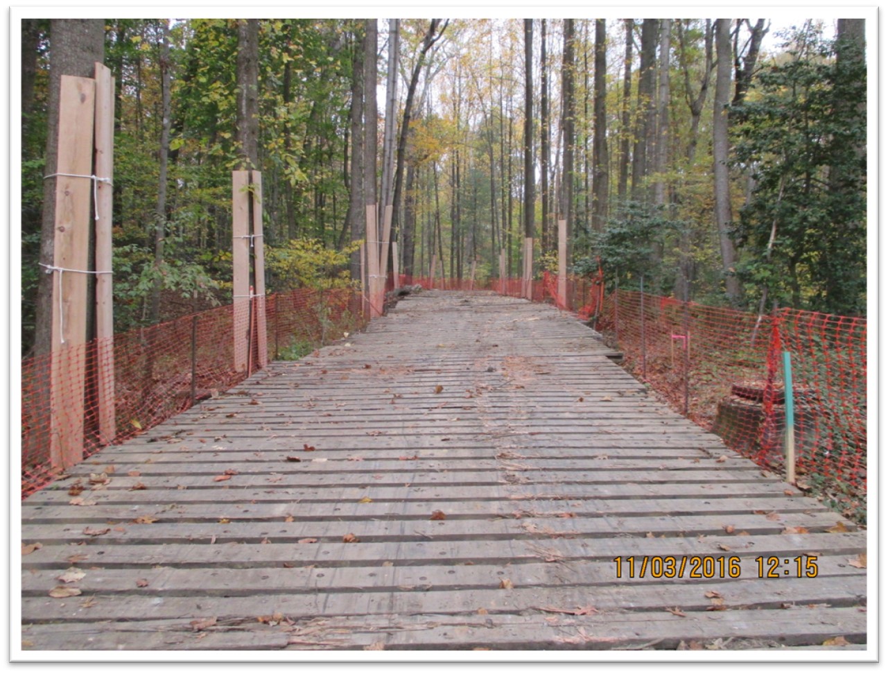Access road and tree protection area