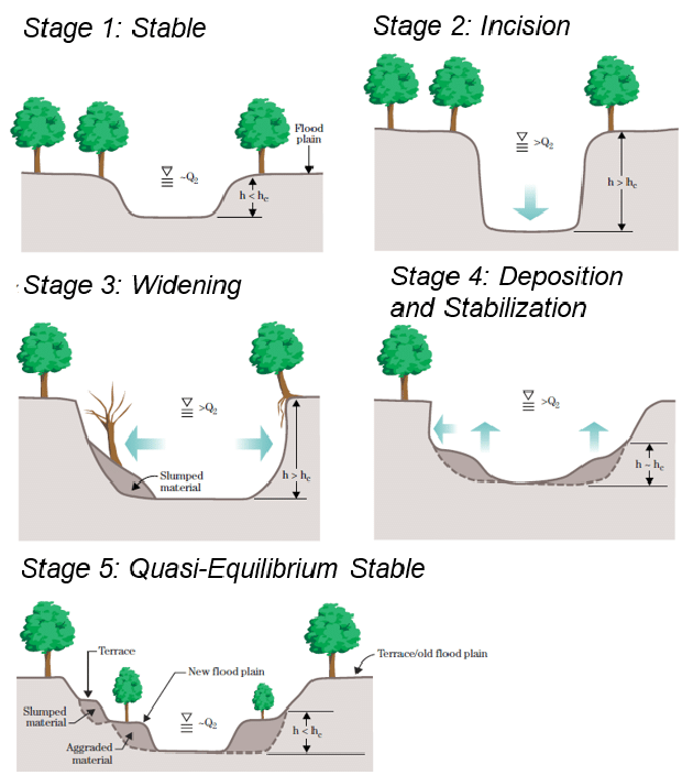 Channel evolution model with channel cross sections illustrating the 5 channel stages