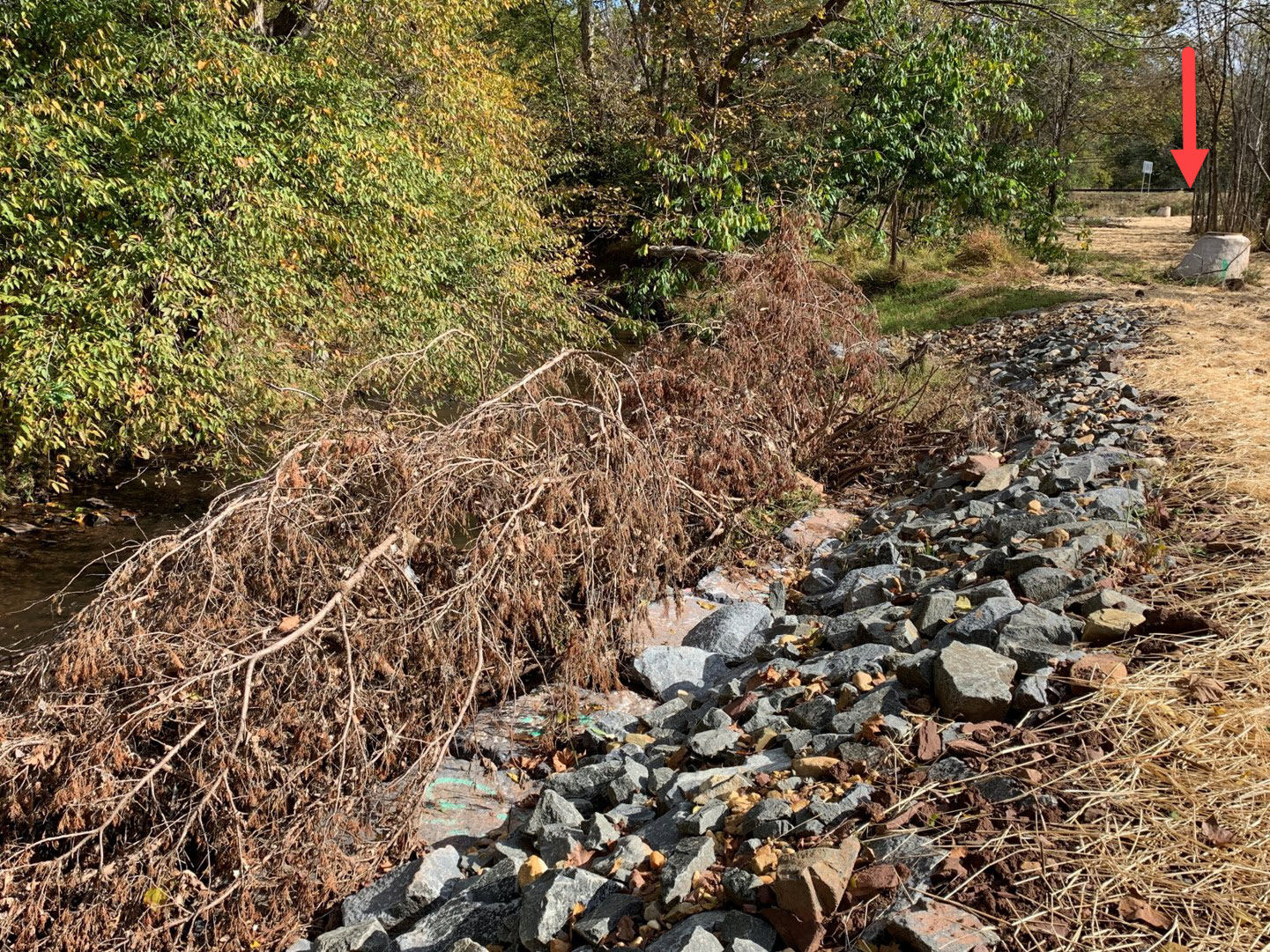Sewer line easement