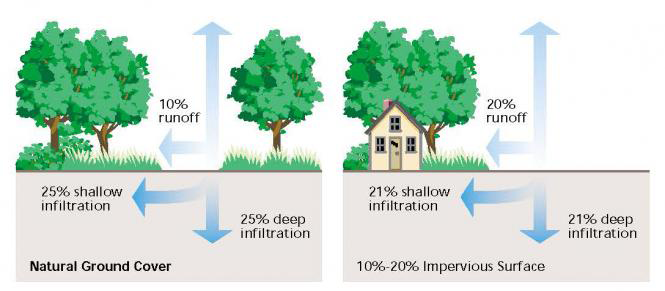 In areas with natural vegetation like forests, most stormwater is intercepted and soaks into the ground.