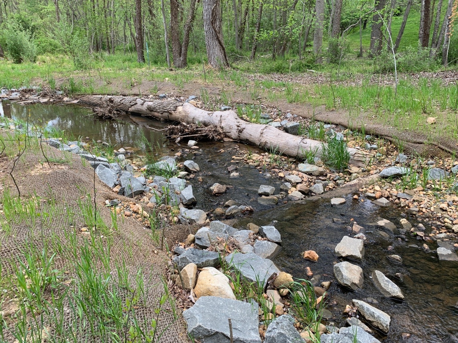 Wood log and rock