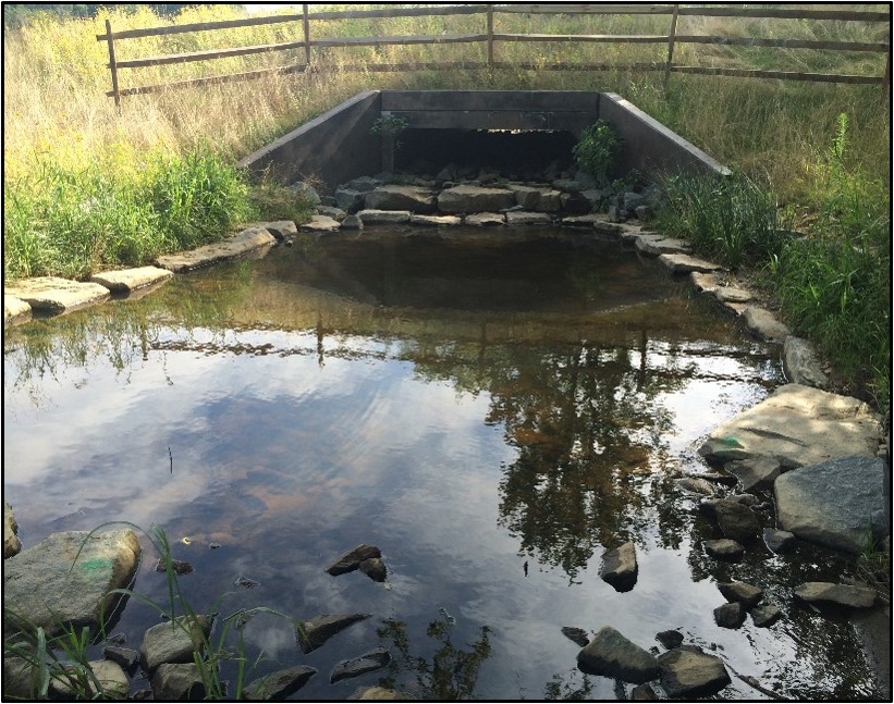 Plunge Pool
