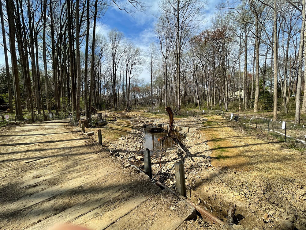 Restored reach prior to planting