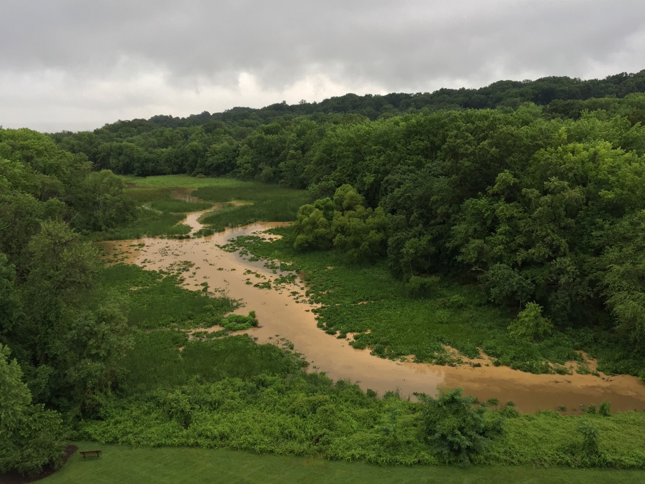 Sediment flowing into Dyke Marsh from Quander Road outfall before restoration, Alexandria, VA.