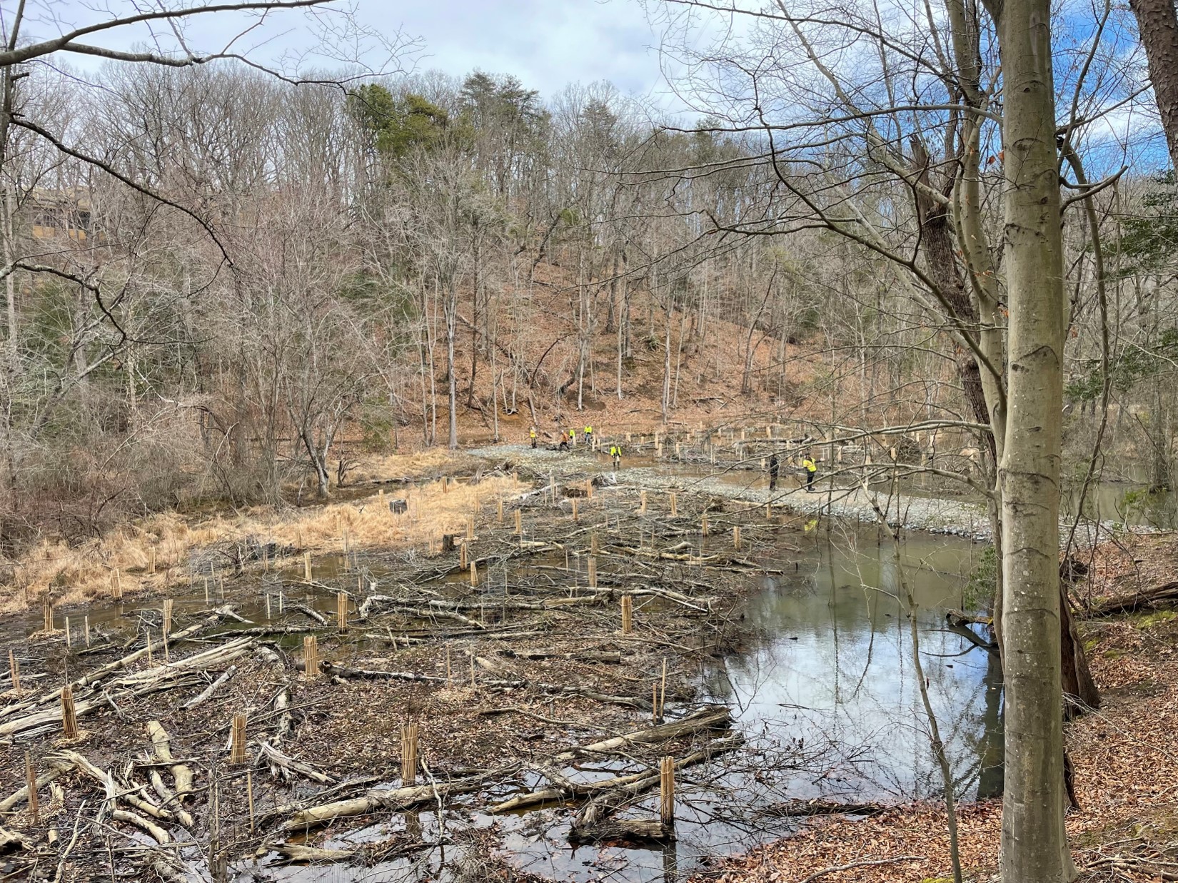 “Stage Zero” Form-based stream valley restoration – Anne Arundel County, MD - photo by C. Smith