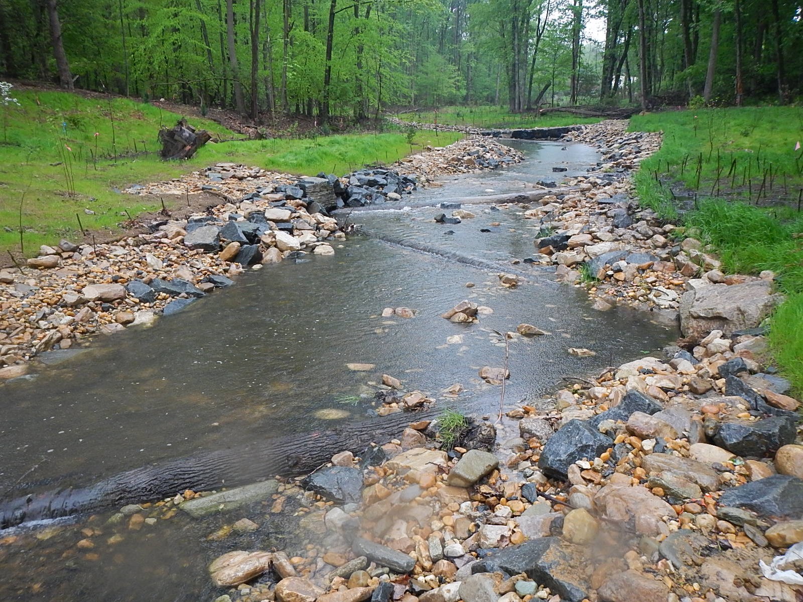 Stream Log Rollers