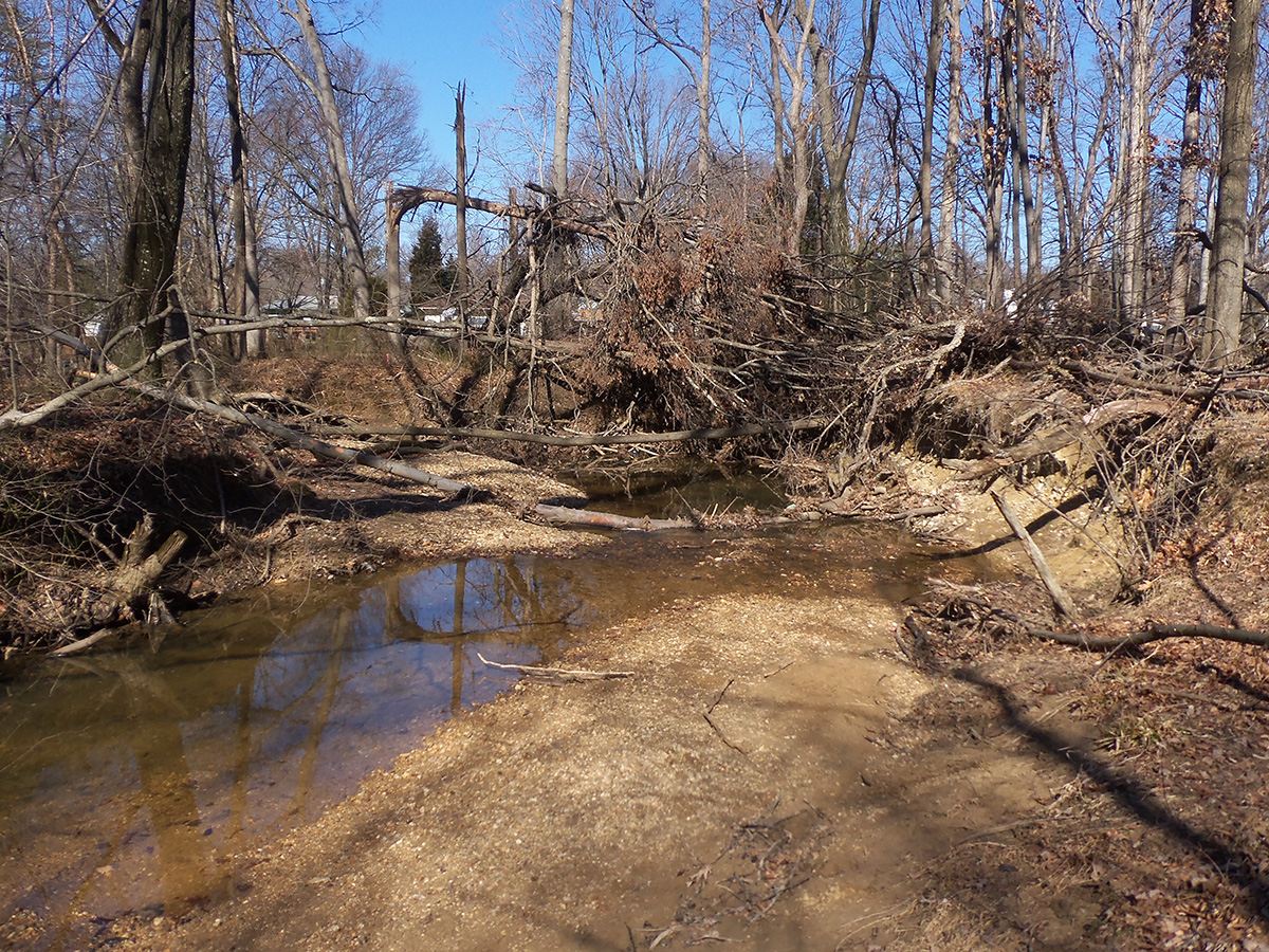 Wolftrap Creek tree loss before restoration