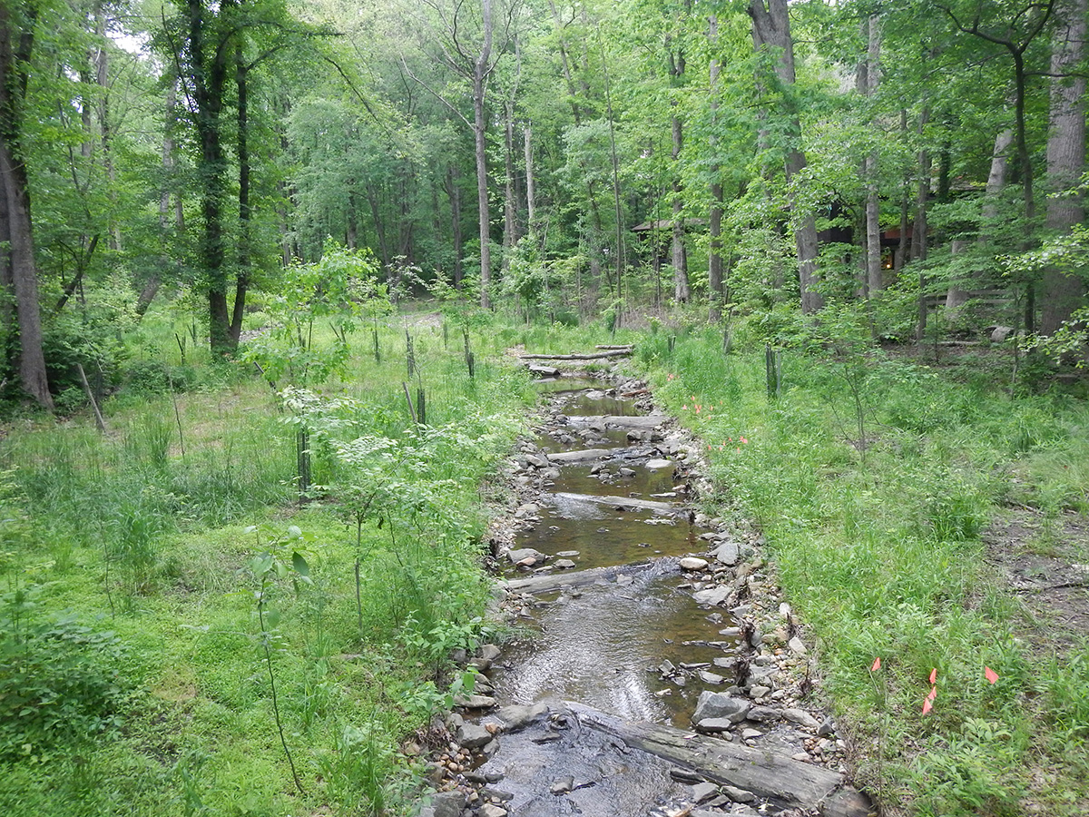 Turkey Run at Truro with log step pools first year after restoration