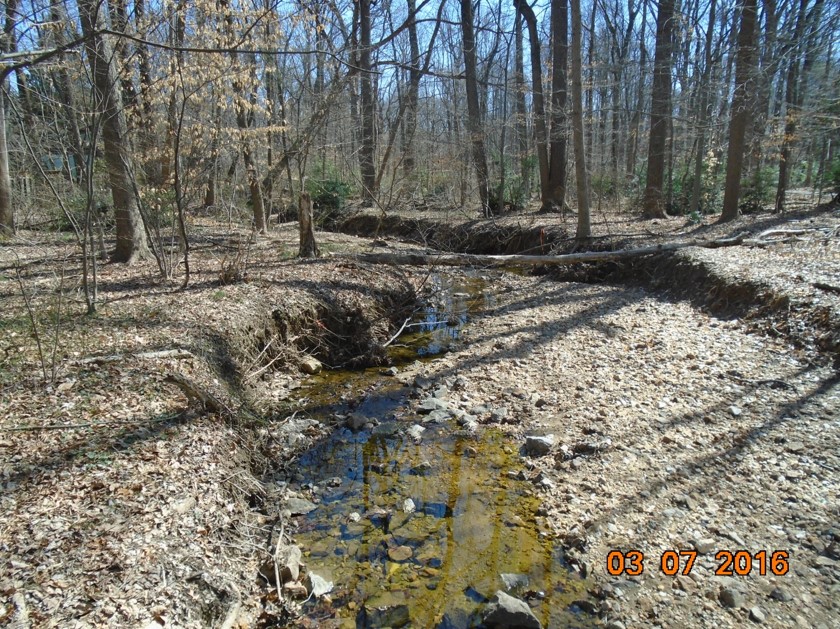 Turkey Run at Truro pre-construction