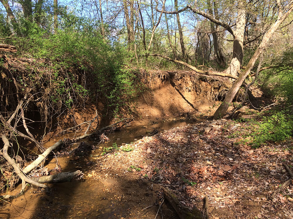 Turkeycock Run at Mason District Park before restoration