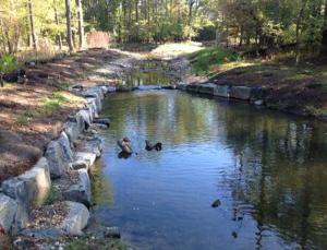 Stormwater Service District Public Works And Environmental Services