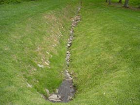 grass swale