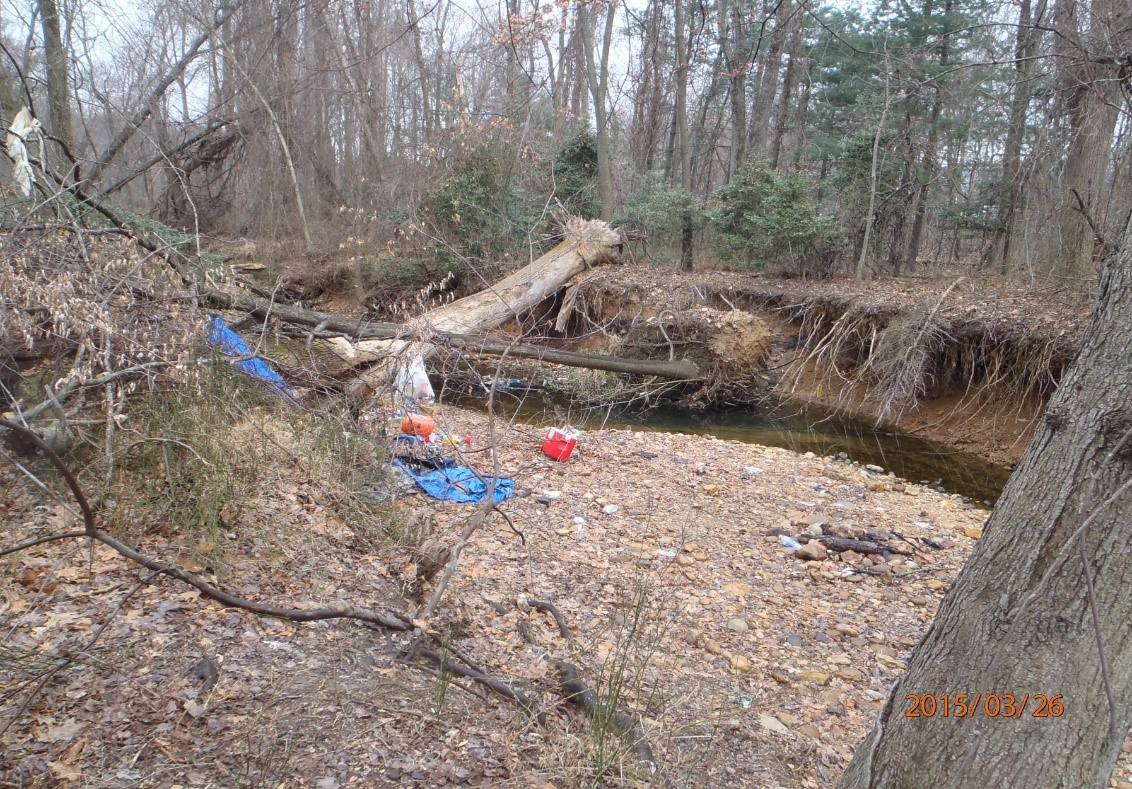 Old Courthouse Spring Branch At Gosnell Road Stream Restoration Public Works And Environmental Services