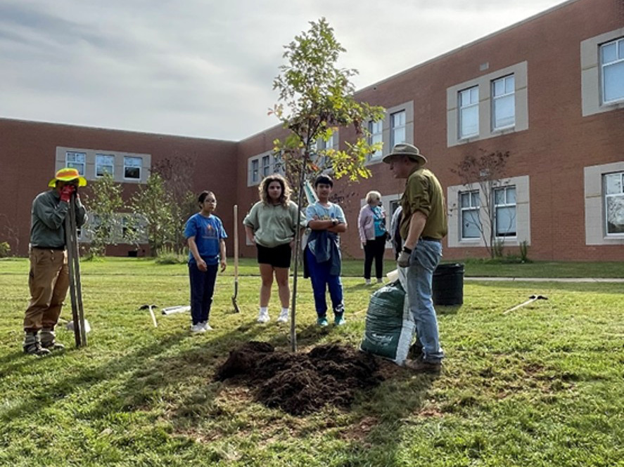 Urban Forestry education
