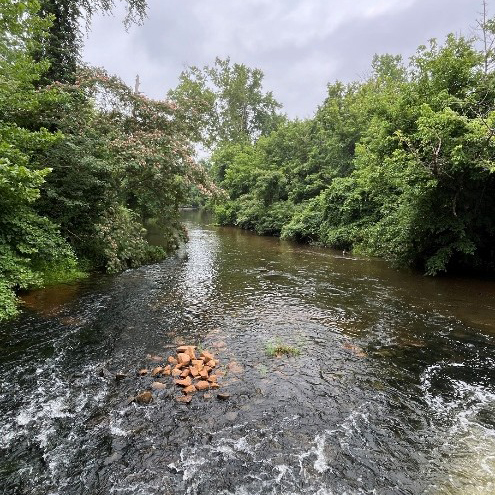 Creek photo