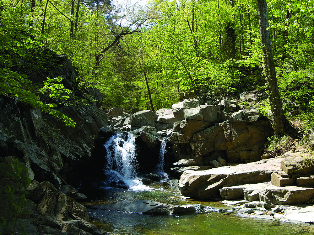 Scotts Run Stream Valley