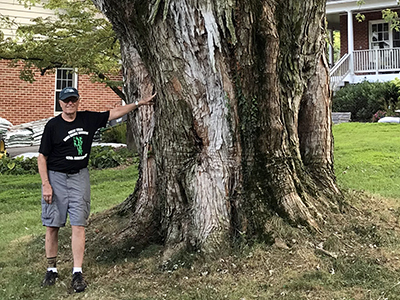 Bob Vickers with large silver maple