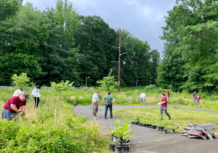 Tysons Forest planting trees