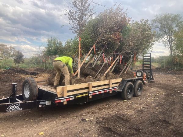 Trees on a trailer - photo courtesy of Casey Trees