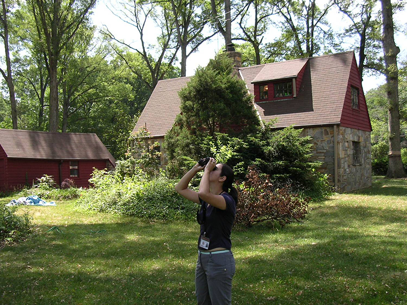 county staff looking through binoculars for gypsy moths