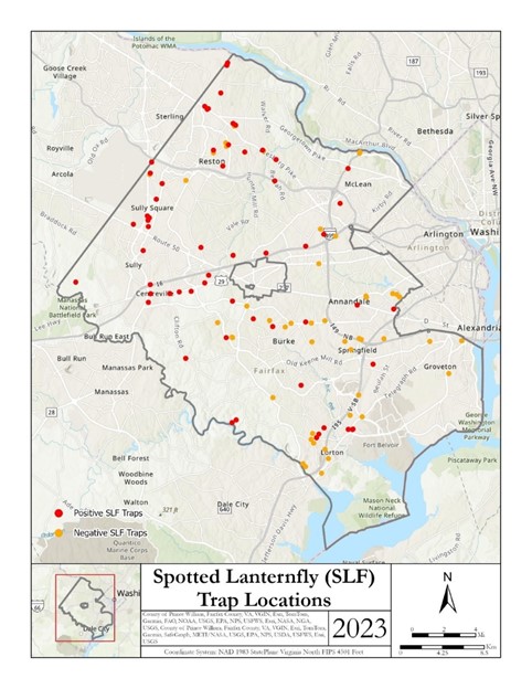 SLF Trap Locations