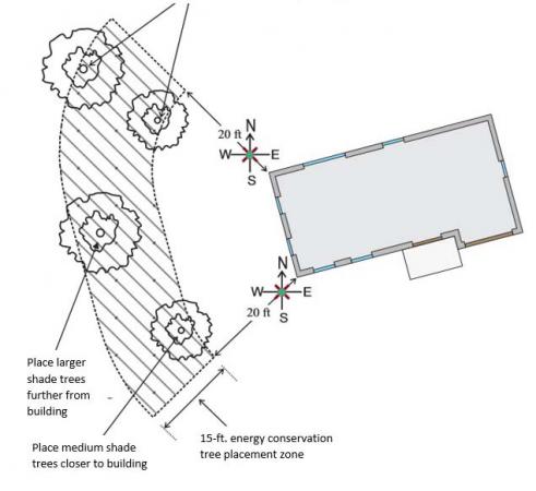 Tree planting diagram