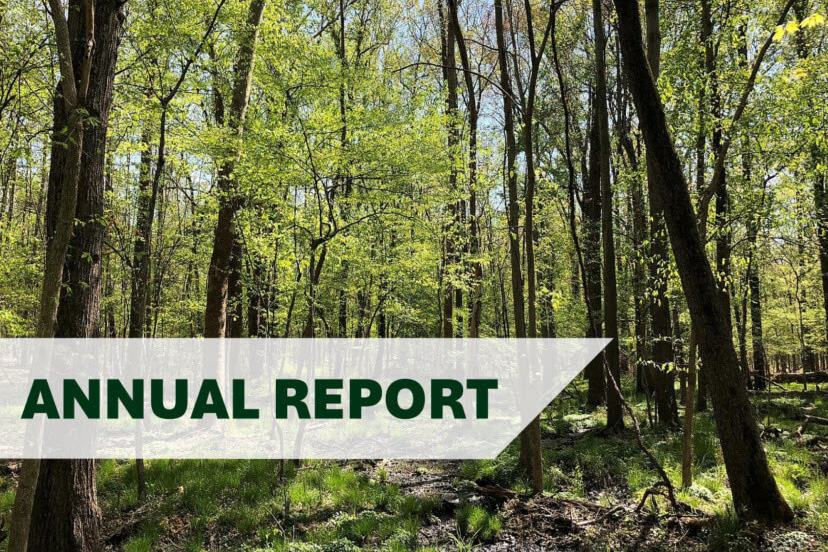 I-Tree Ecosystem Analysis Report Cover