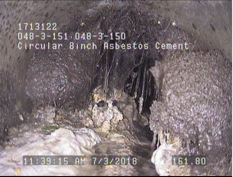 cctv image of roots inside sewer pipe