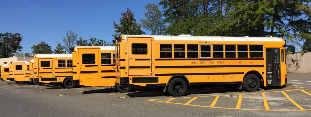 school buses