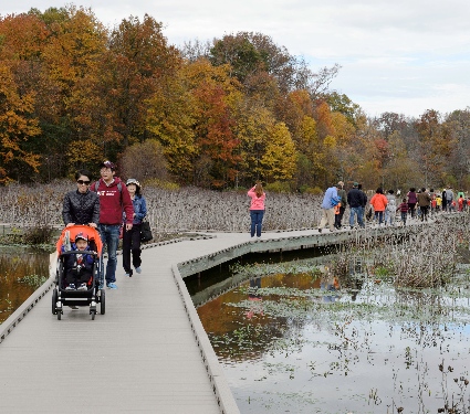 Parktakes Fall 2018