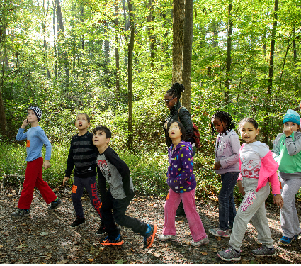 Nature Science class