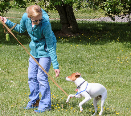 Pet Obediance class