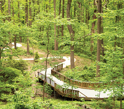 Parktakes Spring 2022