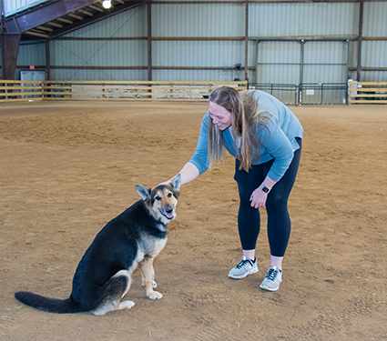 Pet Obediance class