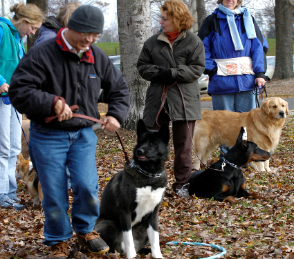 Pet Obediance class