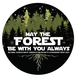 "May the Forest Be With You, Always" 2024 Poster Contest Logo