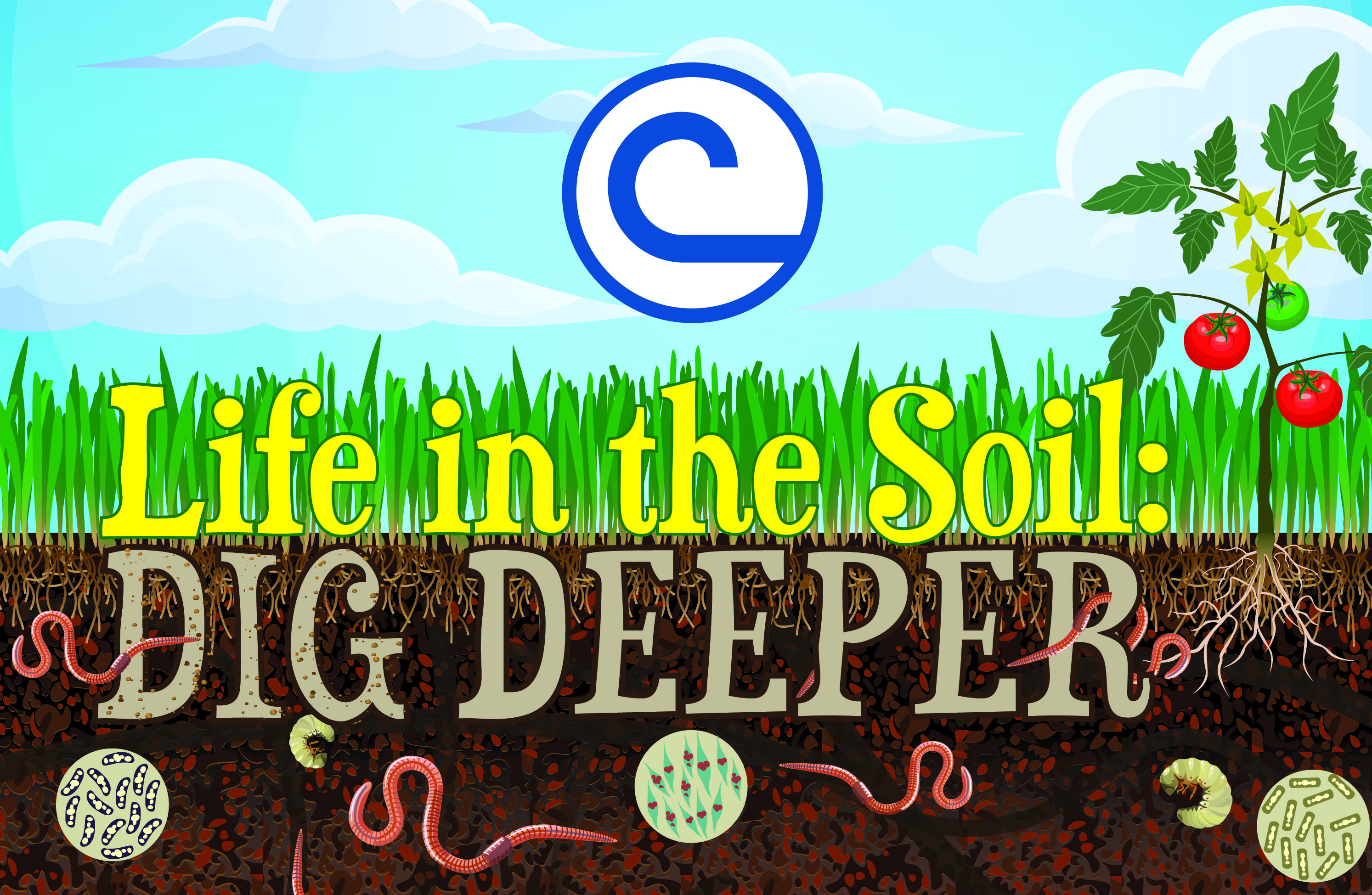 Life in the Soil: Dig Deeper