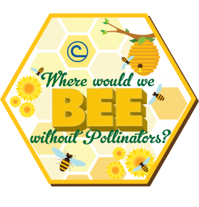 Where Would We BEE Without Pollinators?