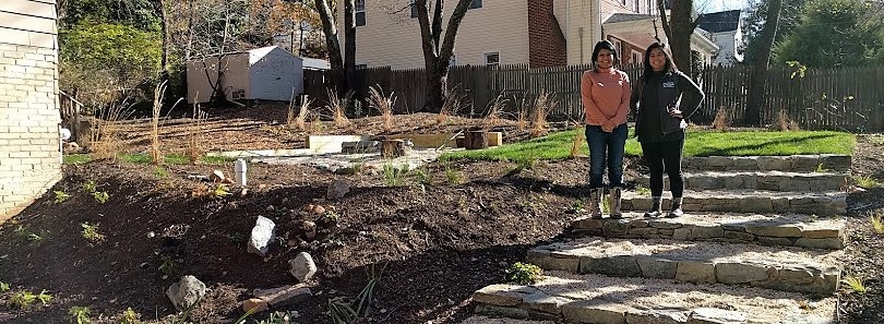 Rain Garden