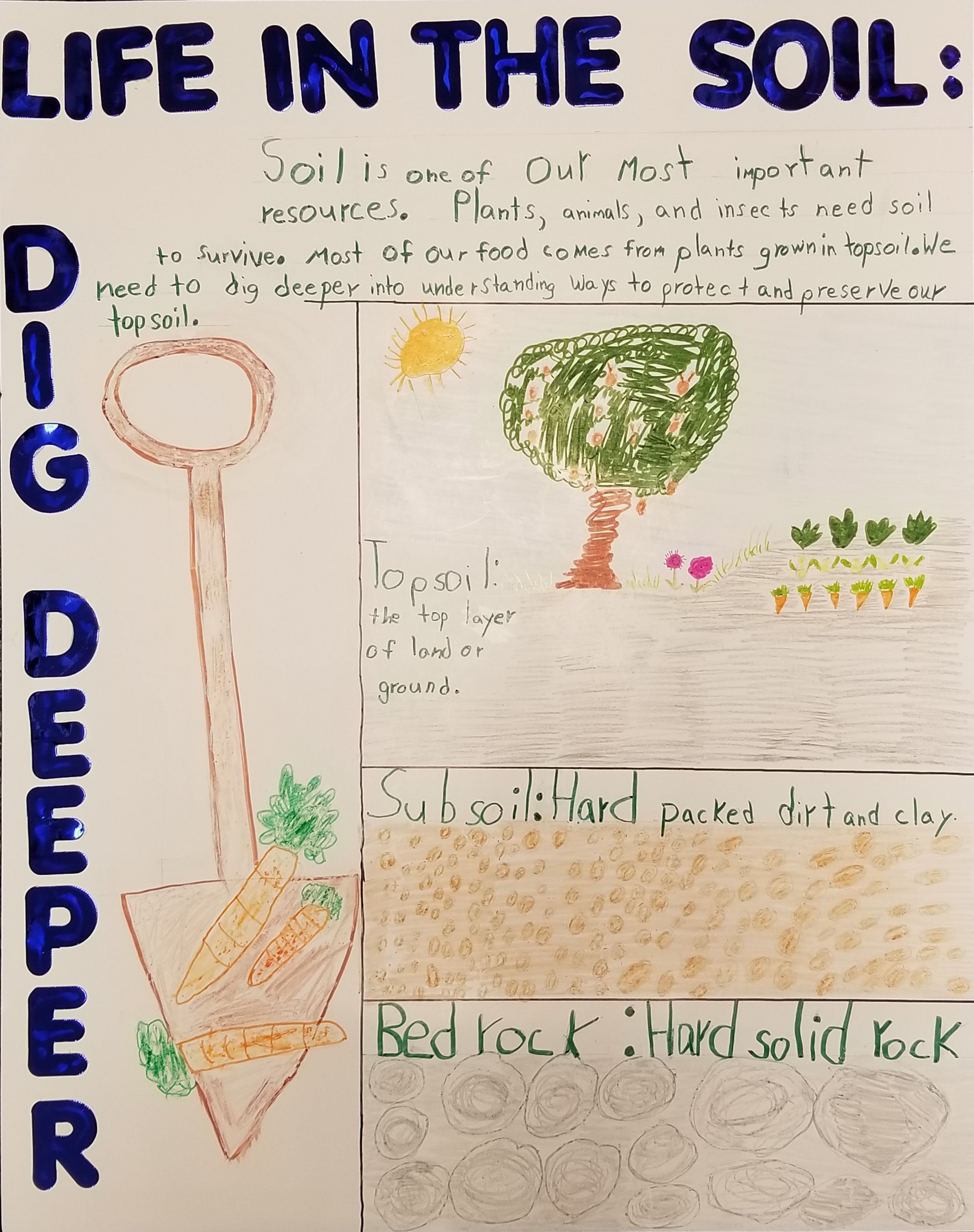 Conservation Poster Contest | Northern Virginia Soil and Water Conservation  District
