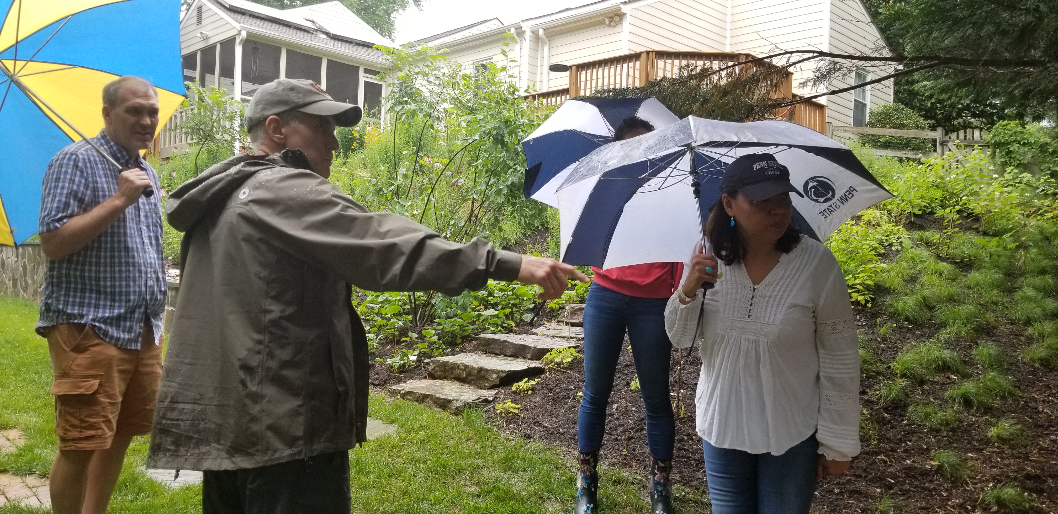 The rain garden at one residence filled quickly in the rain. 