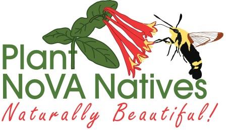 Plant NoVA Natives