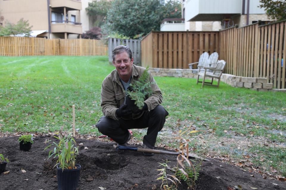 Chesterfield Mews Conservation Landscaping