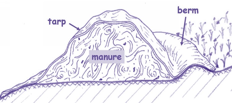 Covered manure pile